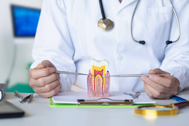 Best Weekend Emergency Dentist in Waskom, TX